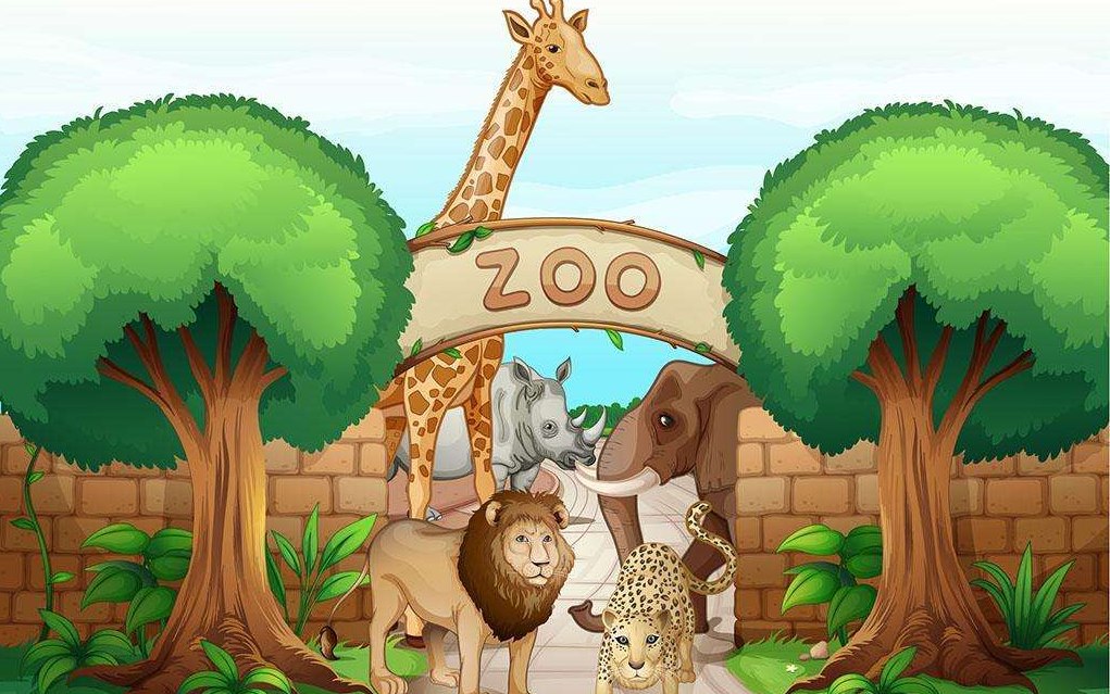 大白让三岁的大白告诉大家动物园里有什么