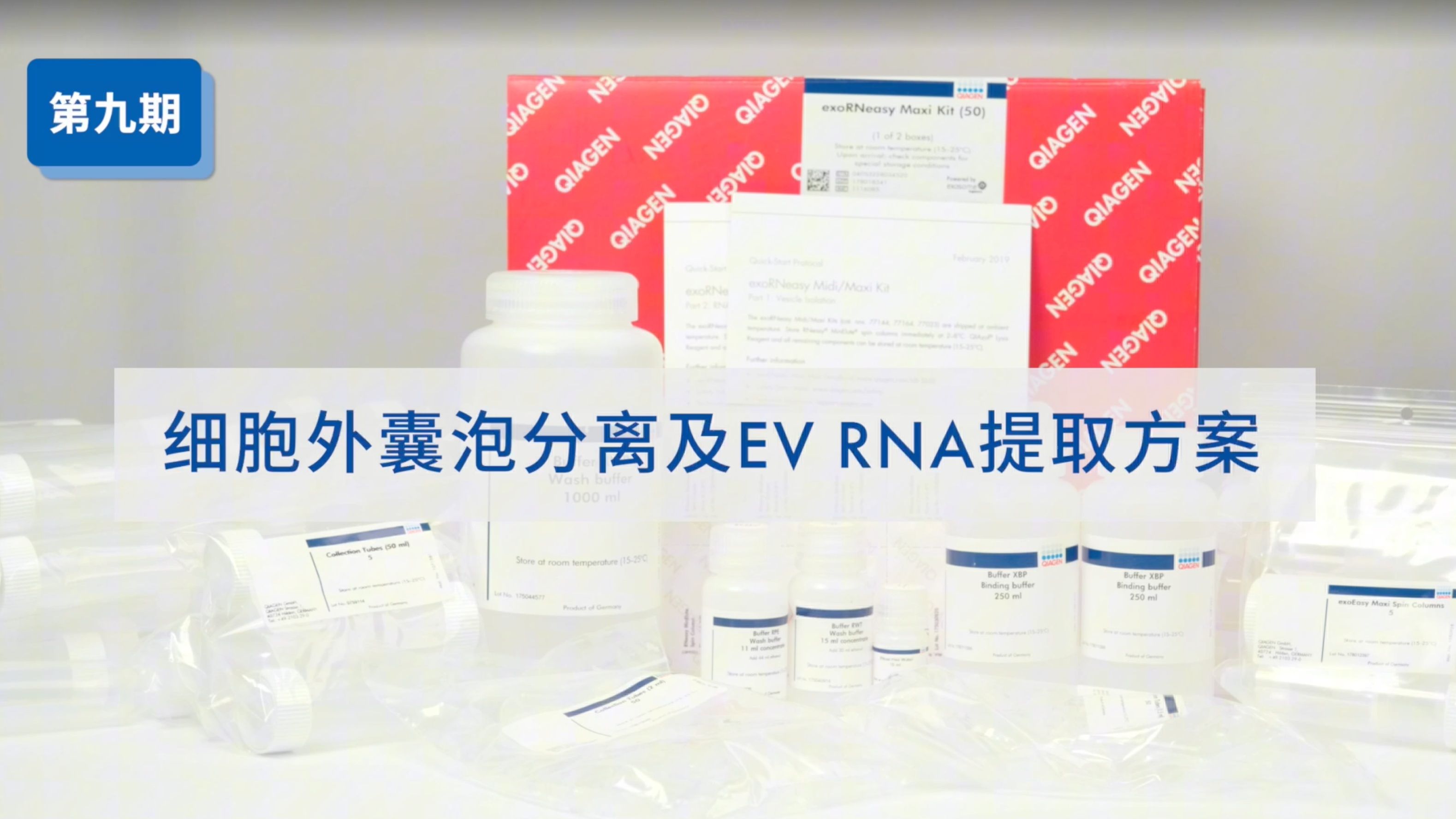 「红与蓝」之细胞外囊泡分离及EV RNA提取方案