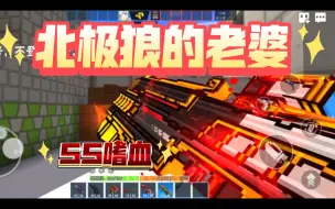 Download Video: 像素射击—SS嗜血和粉丝单挑