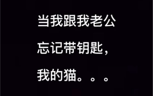 我真的好爱她.哔哩哔哩bilibili