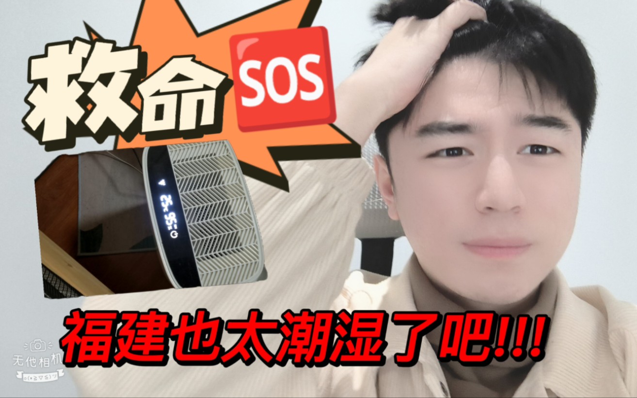 福建怎么可以这么潮湿啊!!!哔哩哔哩bilibili