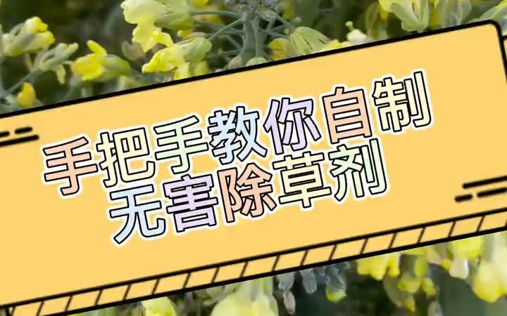 【三农】手把手教你自制无害除草剂哔哩哔哩bilibili