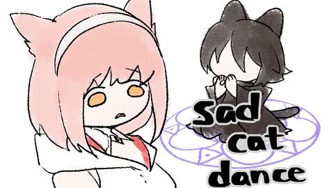 Sad Cat Dance_哔哩哔哩_bilibili