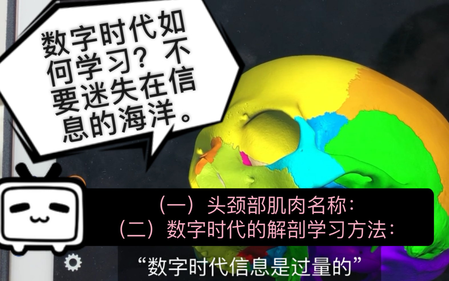 【解剖课】跟牛淼老师默画面部肌肉(三)头颈部肌肉名称及细化学习哔哩哔哩bilibili