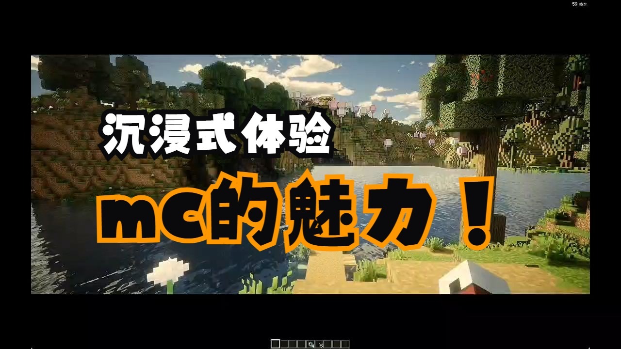 我的世界 世界杯 沉浸式体相关图片4