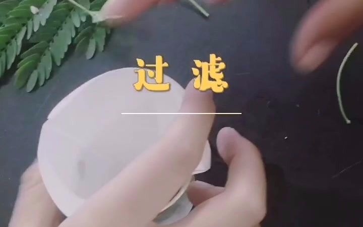 叶绿素的提取及理化性质哔哩哔哩bilibili