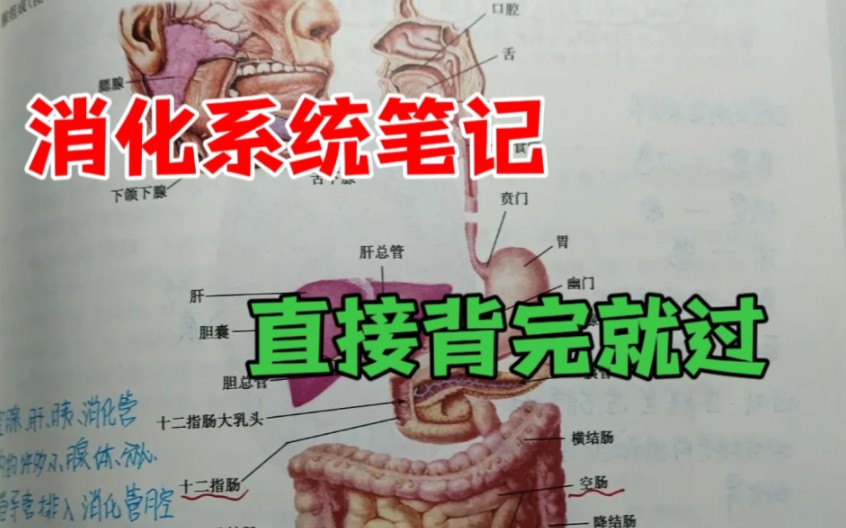 [图]【执业医师及执业助理医师笔试考试笔记考点冲刺】消化系统学笔记背考点大学生消化系统学快速背诵复习大学生期末考试消化系统学冲刺背诵消化系统学重难点复习巩固冲刺背诵