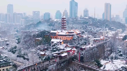 [图]给北方朋友看看南方的冬天：144#覆雪金陵冬日将临，你会在哪里迎接今年的第一场雪呢？#南京 #抖in金陵 #雪