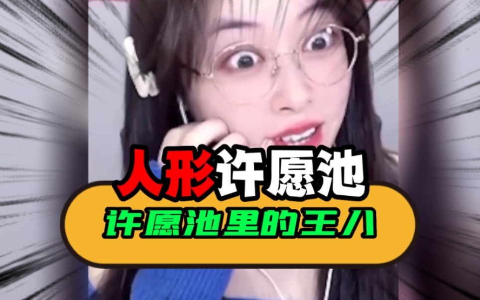 许愿池里的王八图片