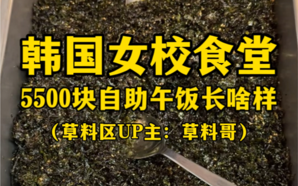 韩国女校食堂5500元自助午饭长啥样?(这一天天的操老心了)哔哩哔哩bilibili