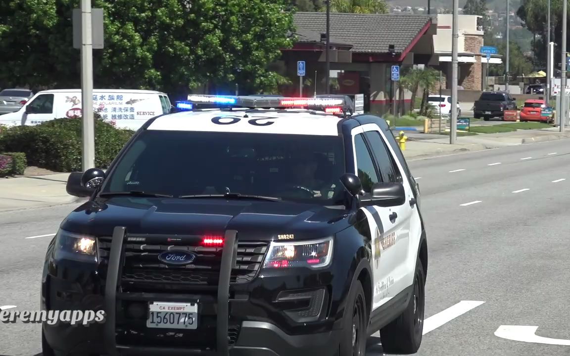 美国洛杉矶警车涂装图片