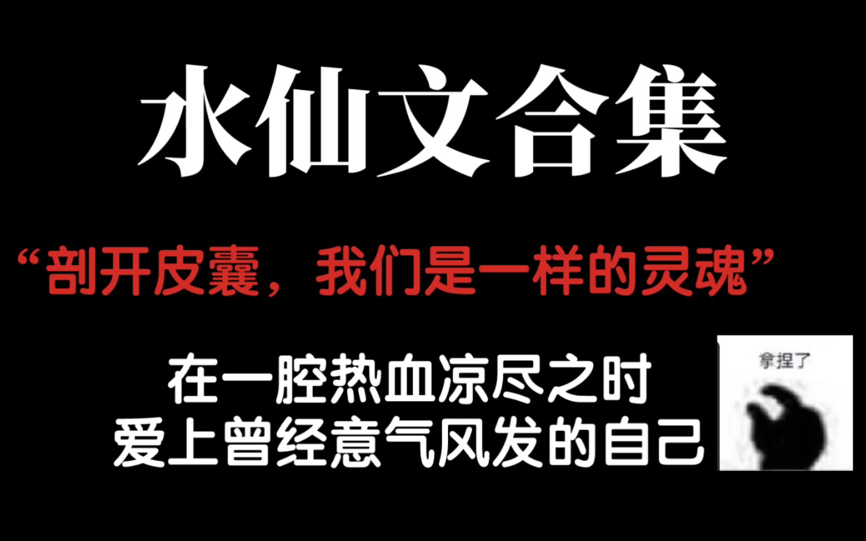 【岳酱推文】水仙文合集!!!在一腔热血凉尽之时,爱上曾经意气风发时的自己哔哩哔哩bilibili