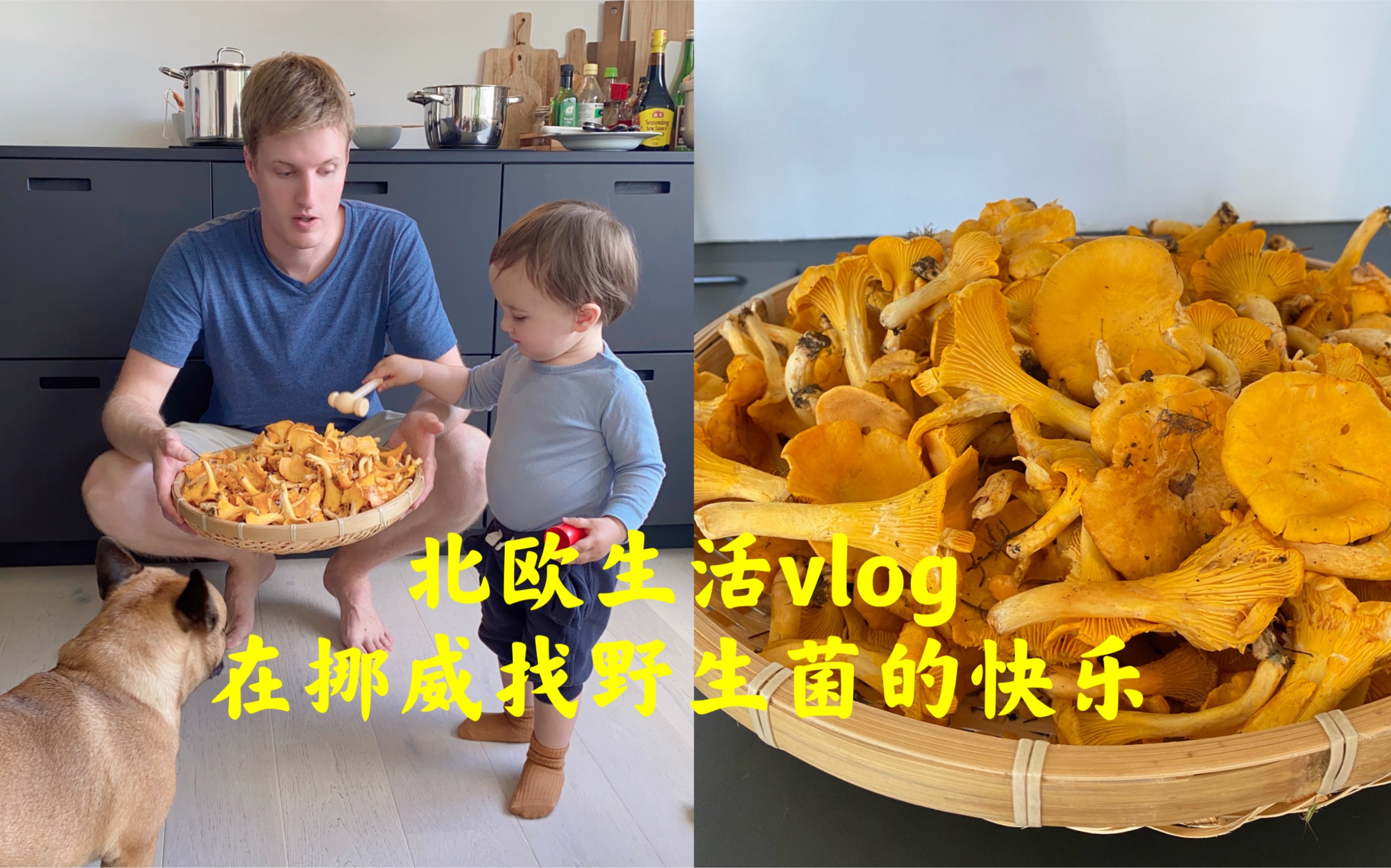 [图]北欧生活vlog，在挪威找野生菌的快乐！