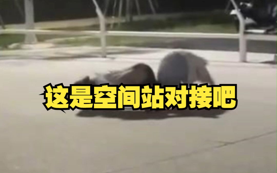 滑旱冰动作行云流水 这是空间站对接技术哔哩哔哩bilibili