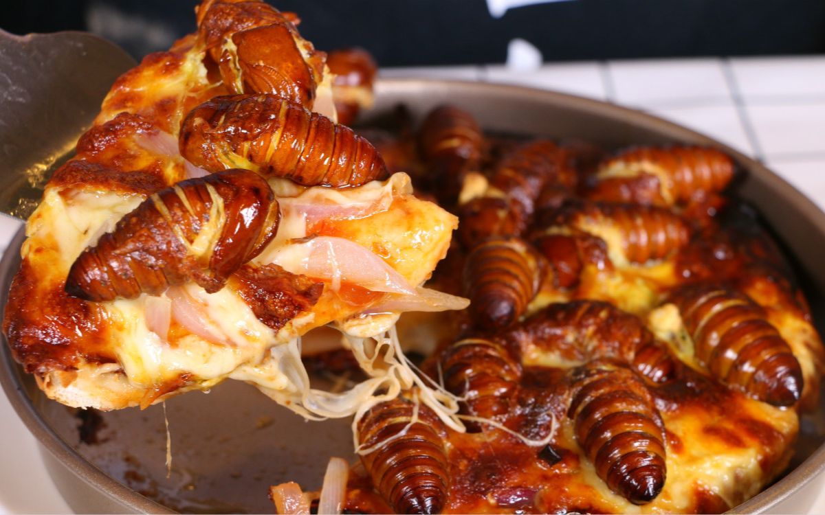 【吃虫子料理】用鲜活的蚕蛹做拉拉丝的芝士披萨 入口居然还很好吃!