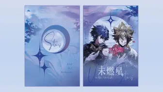 书籍装帧设计｜未燃星