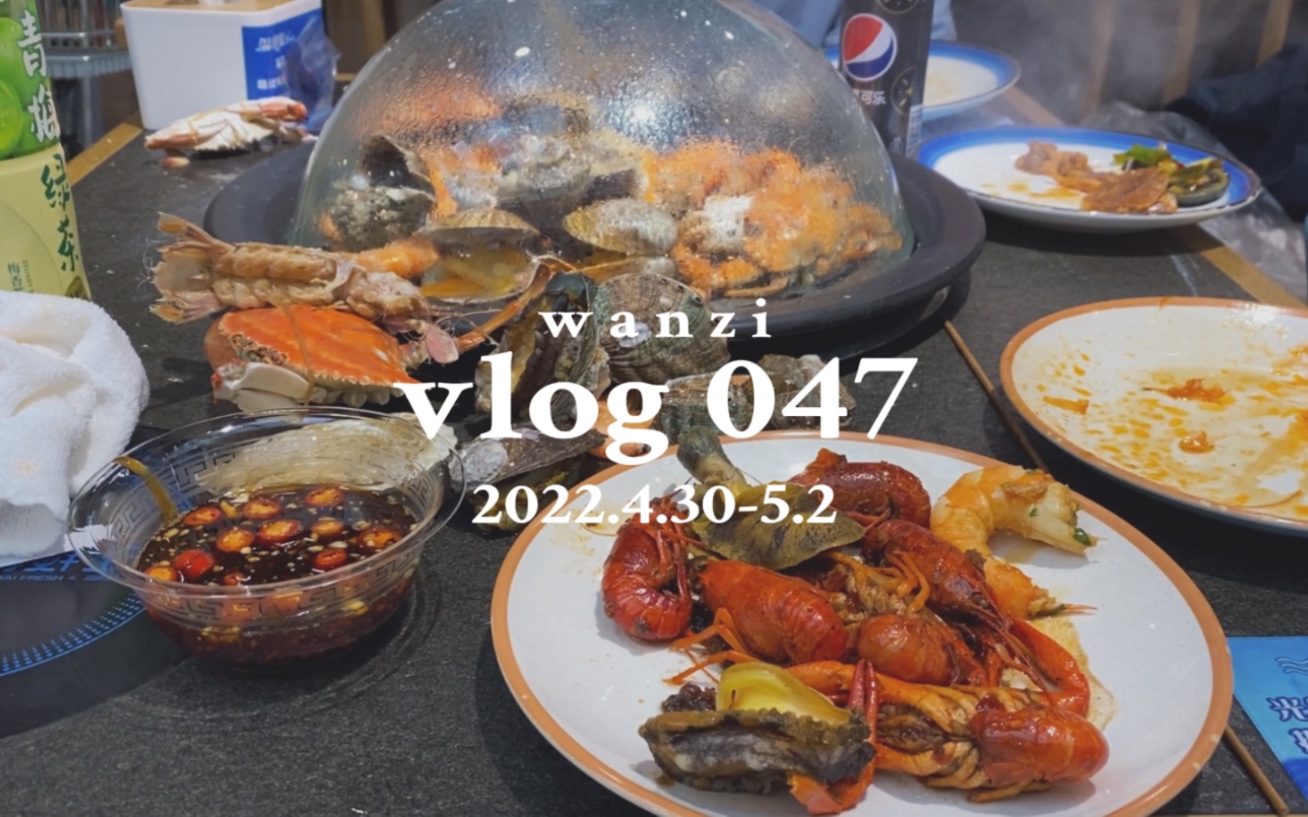 【丸子】vlog047 鲅鱼圈旅游攻略|五一出行|渤海鲜生海鲜自助|山海广场|番茄小市场|大丰收|北海海洋公园|草莓采摘哔哩哔哩bilibili