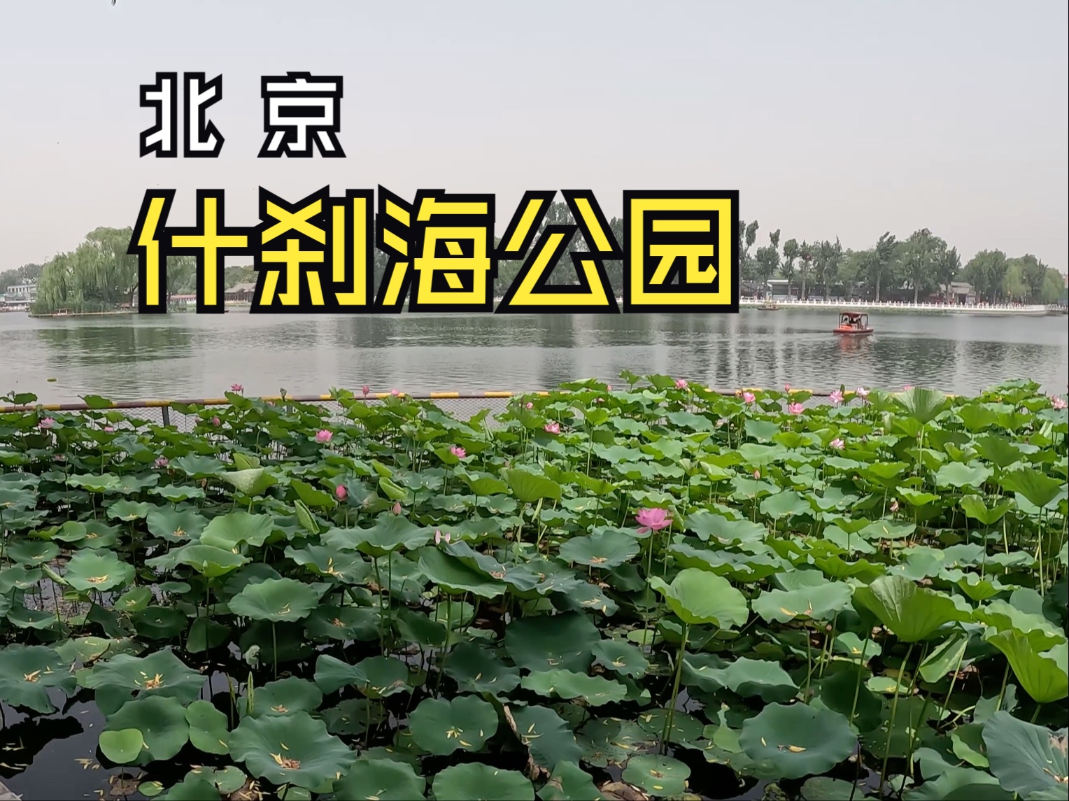 2024年6月22日北京后海(什刹海公园)