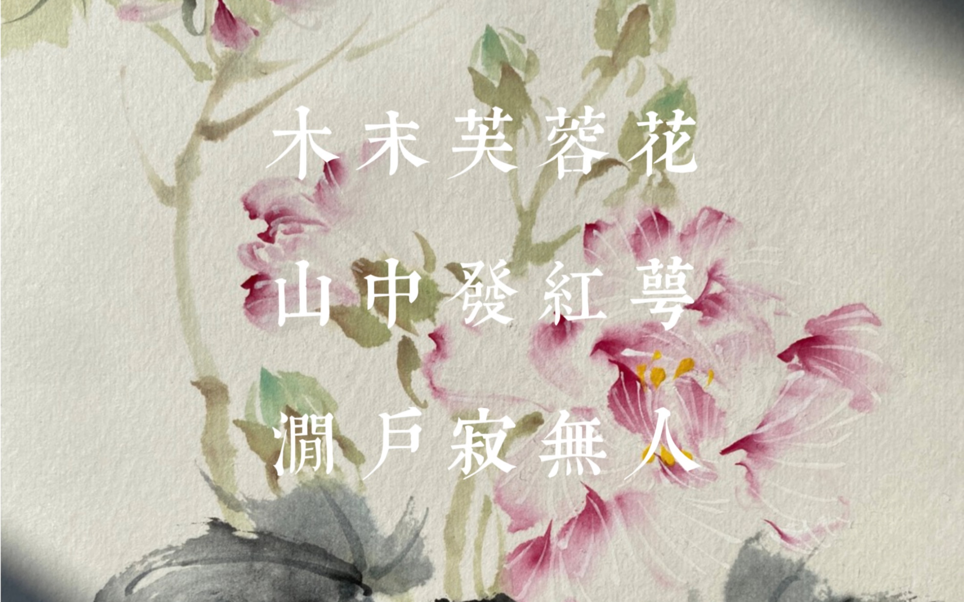 木芙蓉哦~哔哩哔哩bilibili