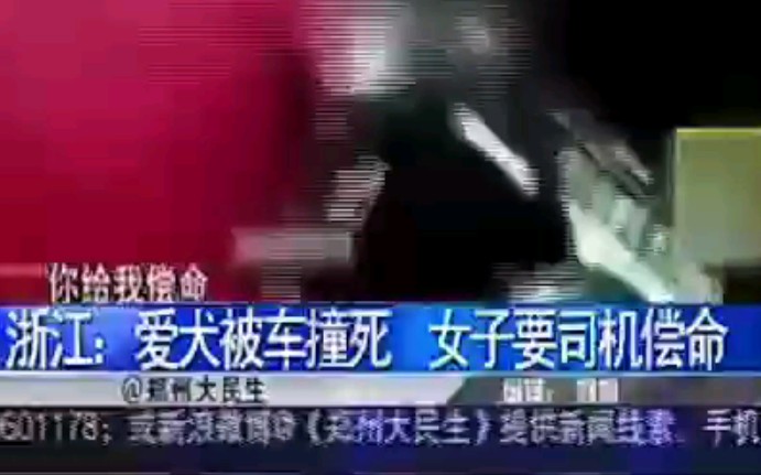 [图]散养宠物狗被车撞死，爱狗人士如丧考妣般哭嚎:一命抵一命！