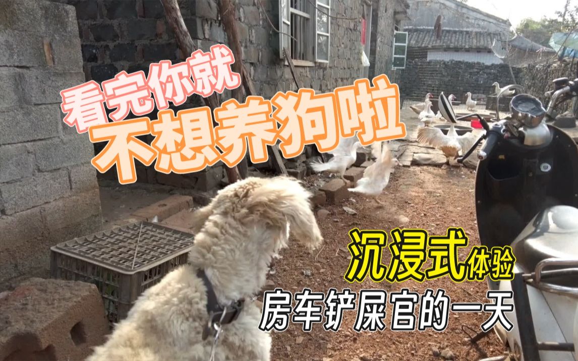 [图]看完你就不想养狗啦！沉浸式体验房车铲屎官的一天