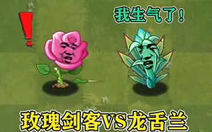 Download Video: 植物大战僵尸2：玫瑰剑客VS龙舌兰，比比谁更受欢迎，搞笑片段！