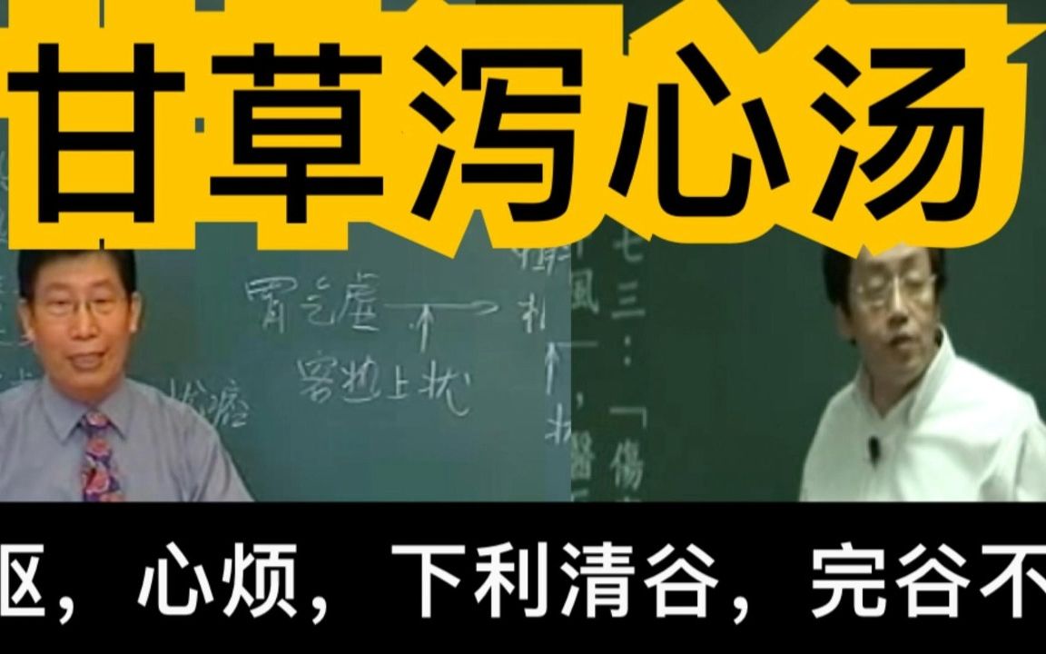 【伤寒论】甘草泻心汤干呕,心烦,肠鸣下利,完谷不化哔哩哔哩bilibili