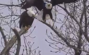 [图]爱在空中