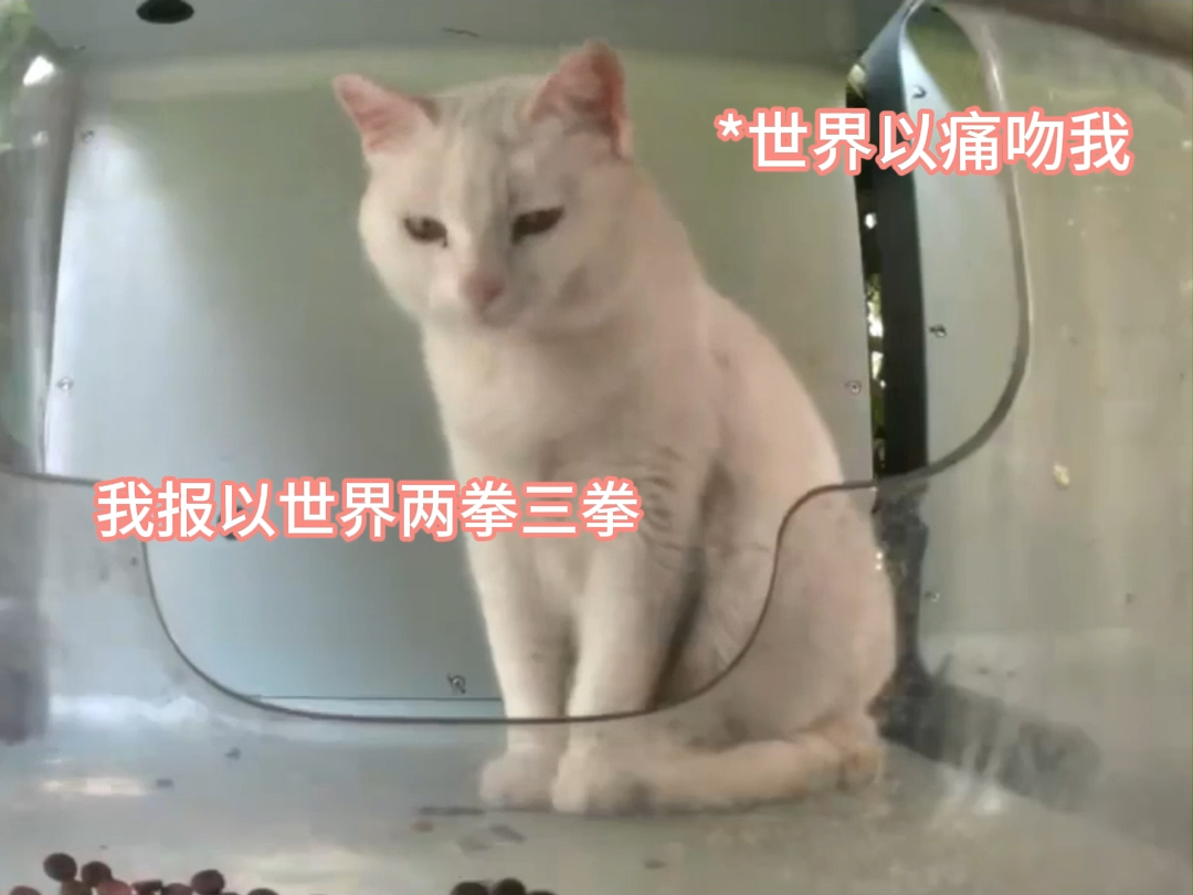 微笑姐塌房后续