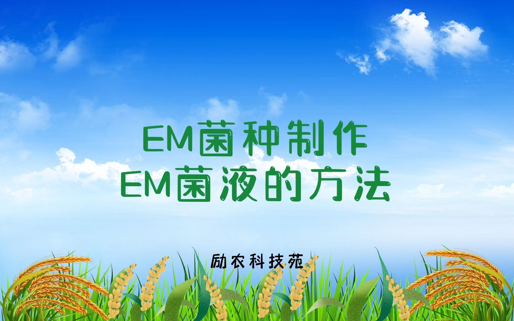 EM菌种制作EM菌液的方法哔哩哔哩bilibili