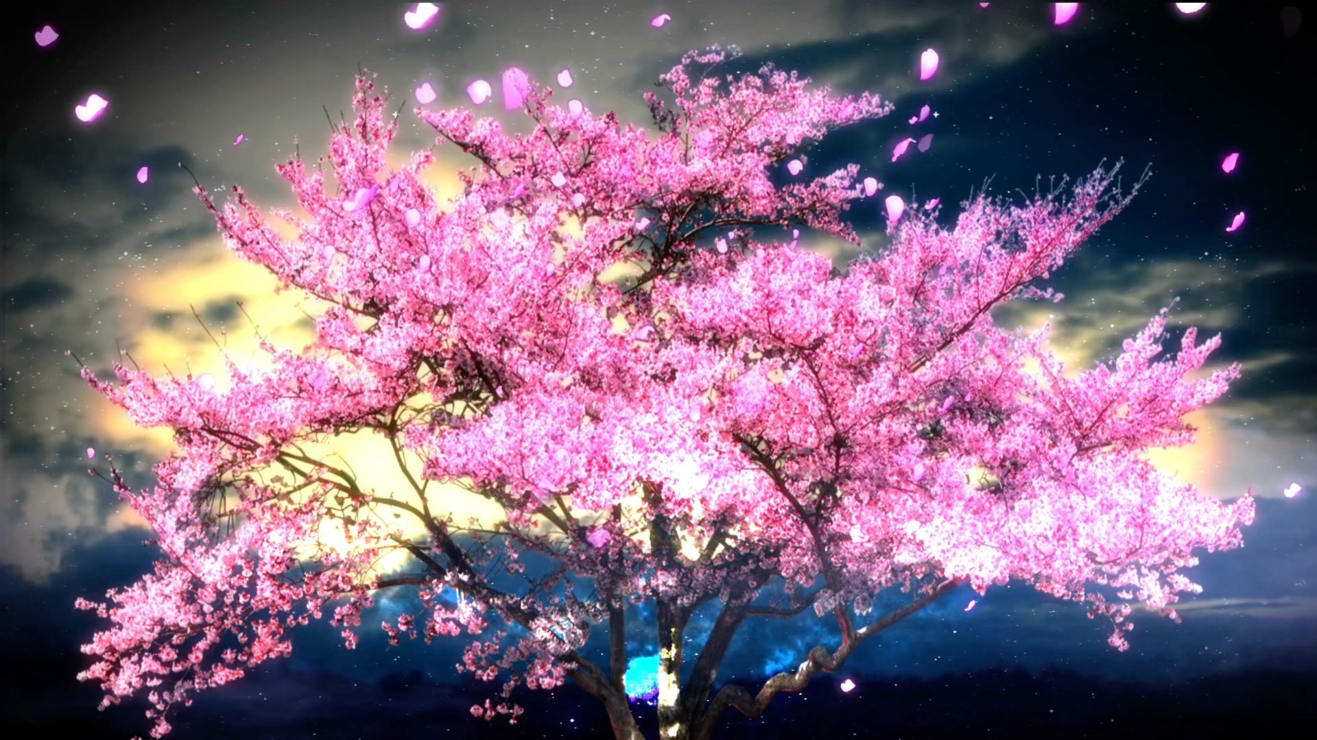 唯美夜色中的流光樱花