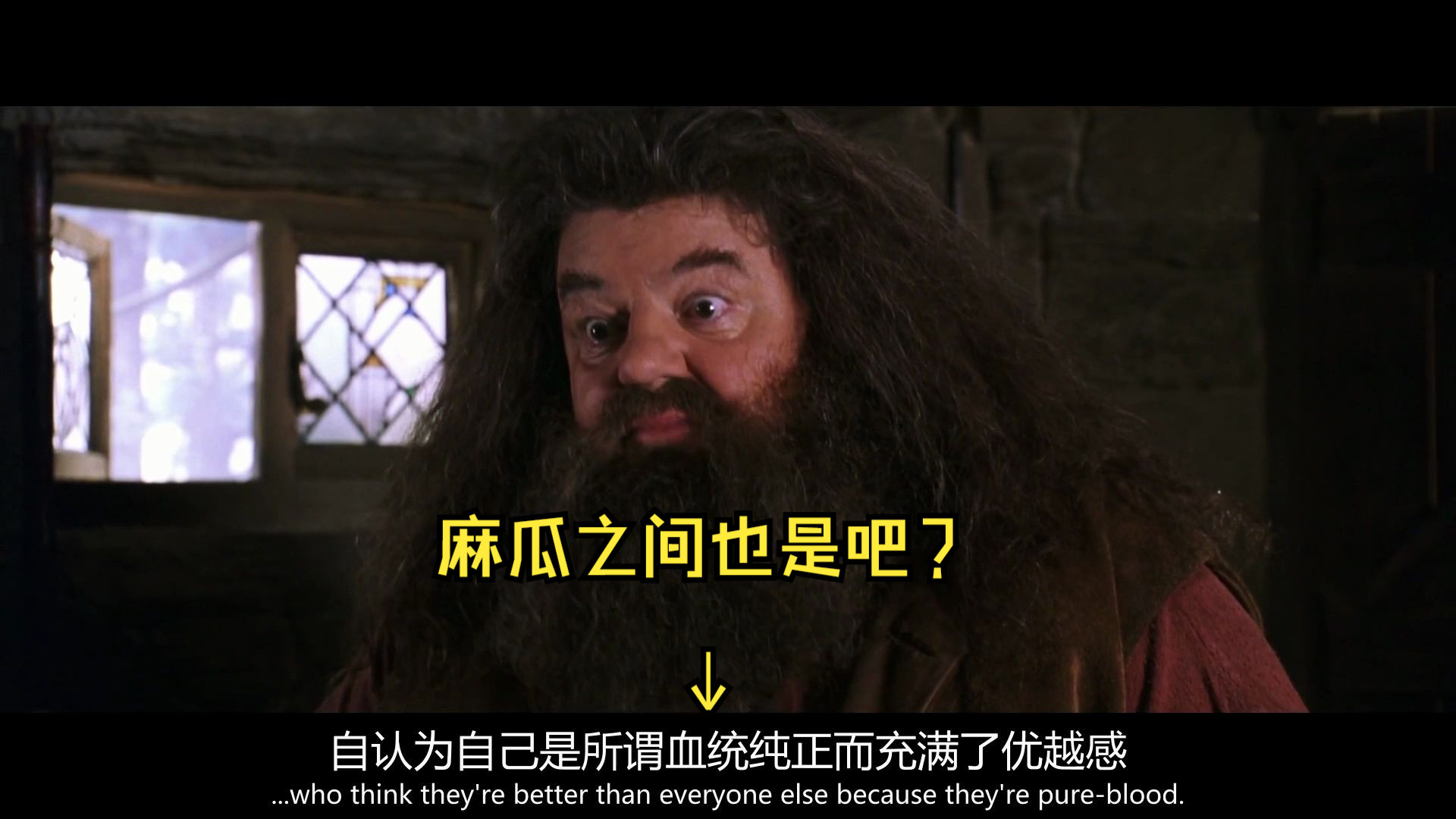 (高清分段切片)哈利波特与密室1080p.35