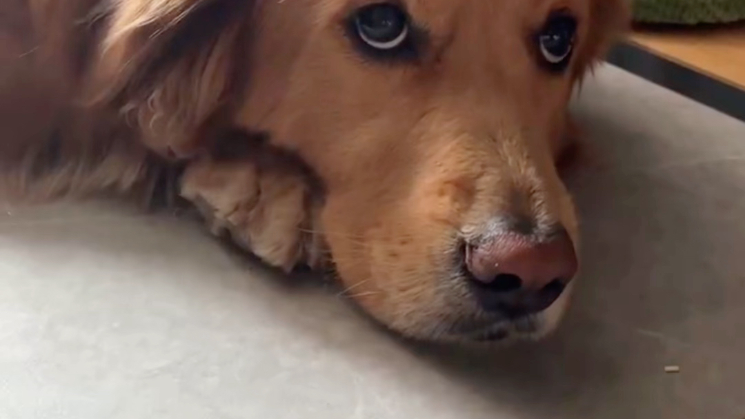 斯密马赛妈妈酱真的是馓子打我的嘴