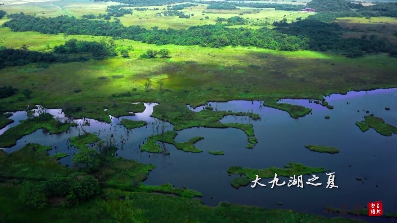 [图]vi小清新—小姐姐约你探秘神农架《神农架旅游宣传片》