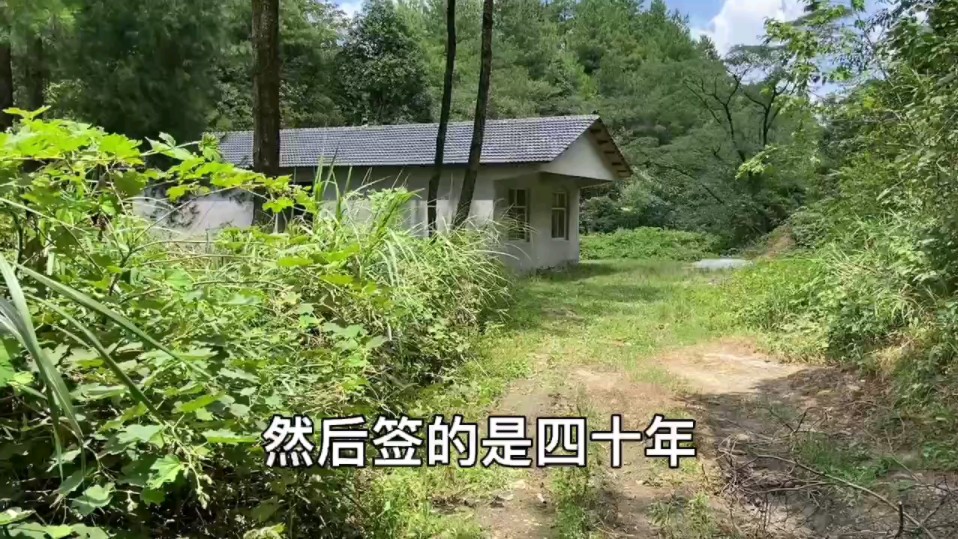 大哥花10万在山里建避暑房,圈了三亩地,40年,算下来划算吗?哔哩哔哩bilibili