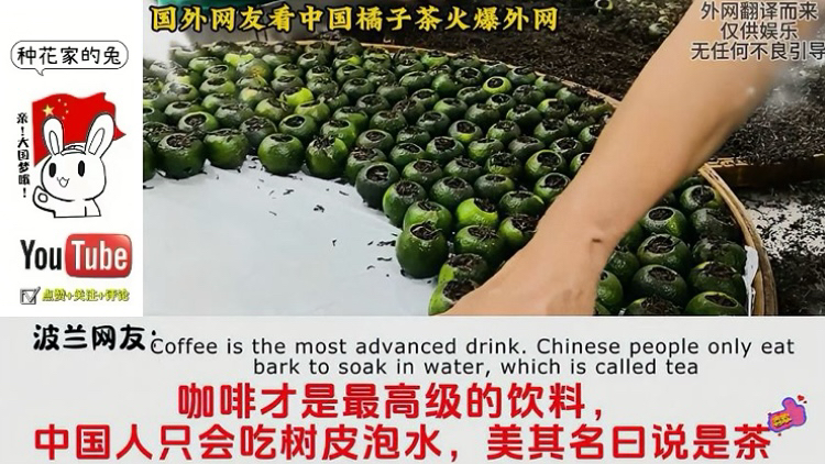 国外网友看中国橘子茶火爆外网,韩国网友:橘子茶是韩国人发明的哔哩哔哩bilibili