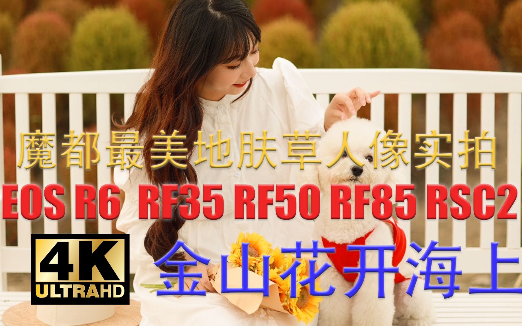 4K画质 佳能R6 魔都最美地肤草人像实拍&金山花开海上 RF35 RF50 RF85镜头 大疆RSC2稳定器 上海约拍/上海摄影活动/魔都摄影会/人像摄影哔哩哔哩...