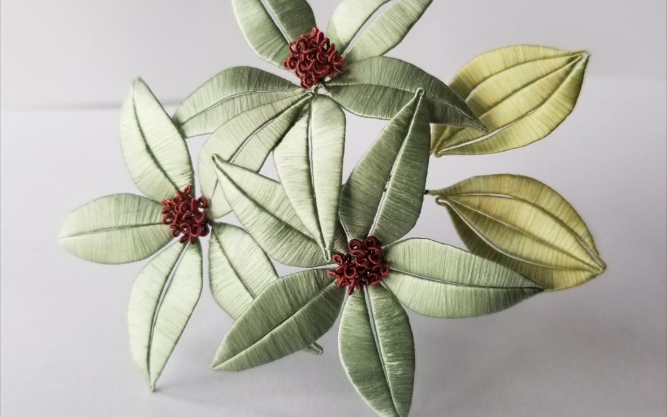 【缠花】橄榄绿,软杆.(叶子有亮点哦!