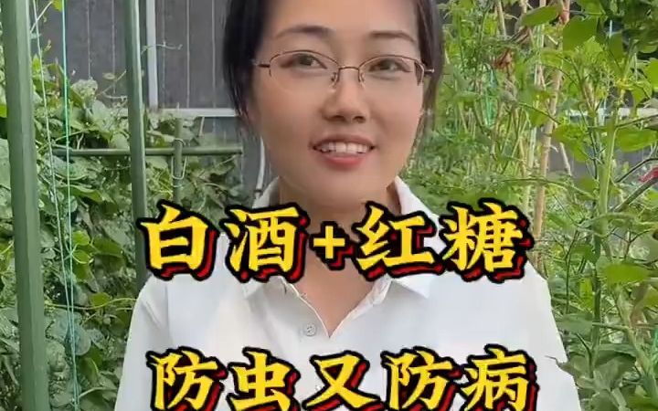 [图]白酒加红糖，防虫又防病