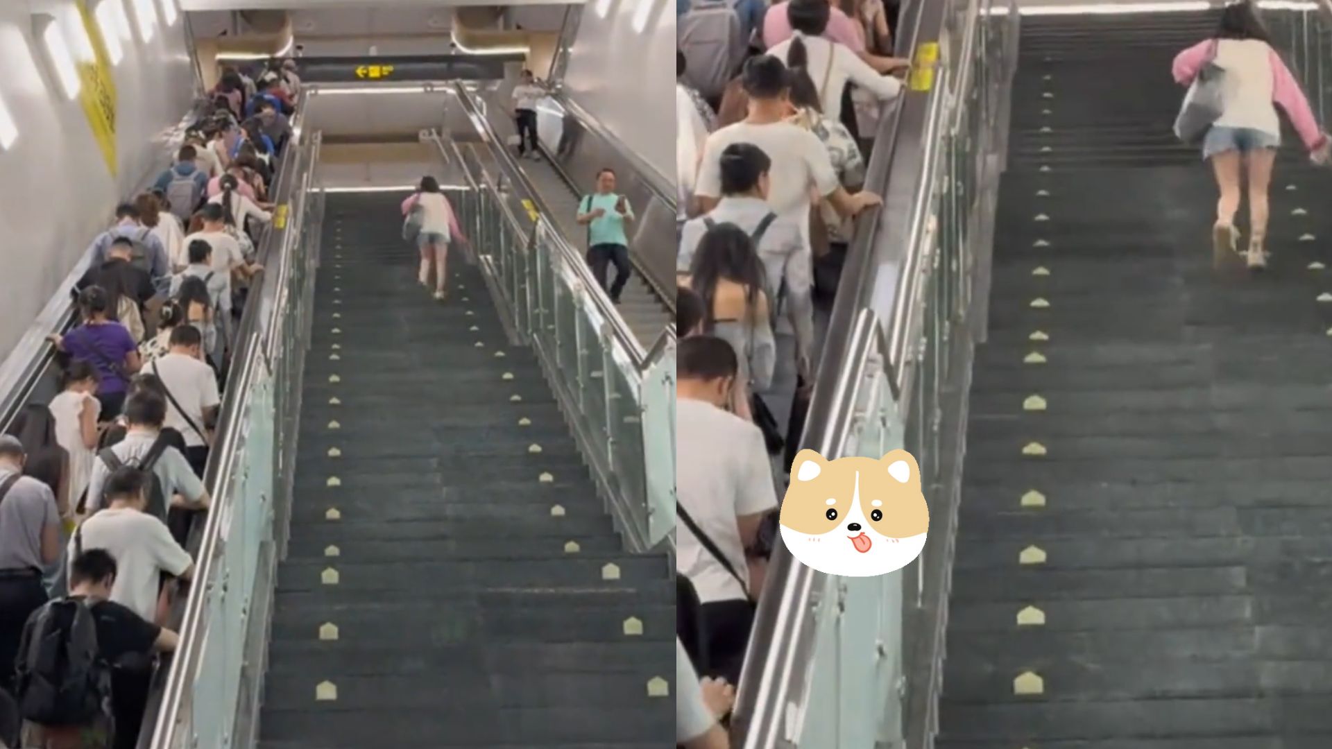 女子独自爬楼梯前行,一个方向的扶梯挤满人却动弹不得,很像生活