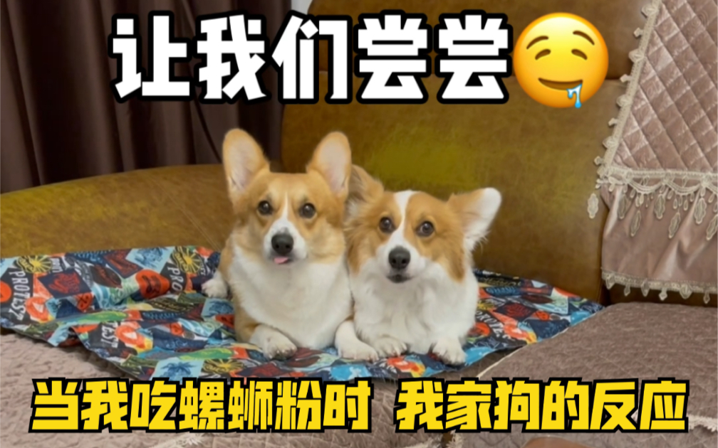 螺狮粉真的很臭吗?哔哩哔哩bilibili