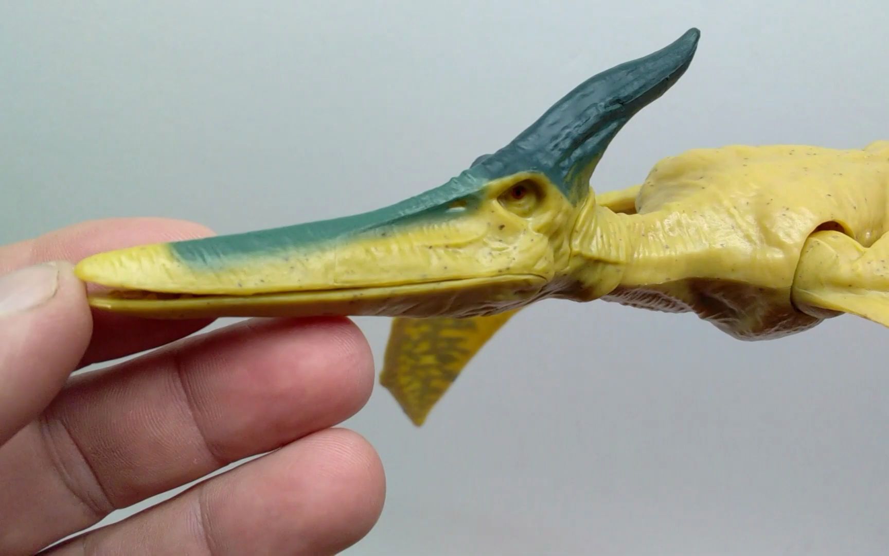 转载2022美泰侏罗纪世界统治翼龙