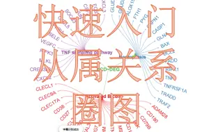 Tải video: 71. 快速入门三层从属关系圈图