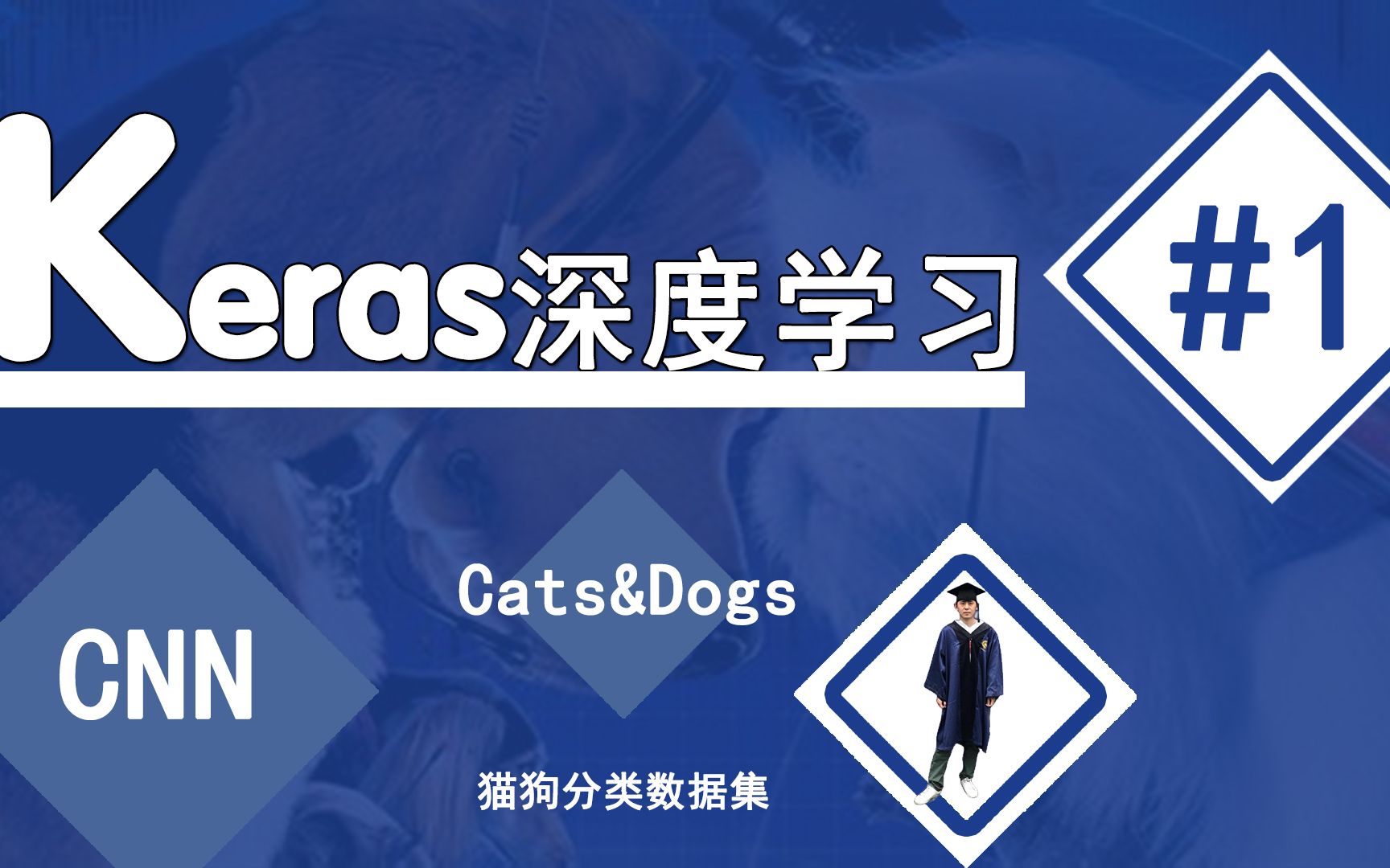 猫狗分类#1猫狗图片准备【keras深度学习】CNN卷积神经网络 catsdogs哔哩哔哩bilibili