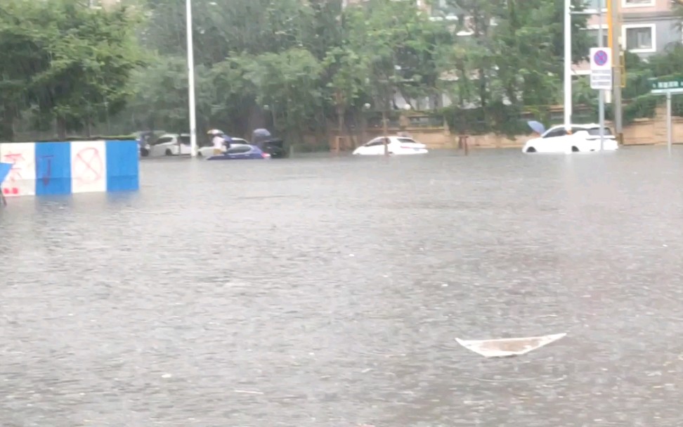 沈阳今日大暴雨,街道变河流,积水严重!好多私家车被淹!哔哩哔哩bilibili