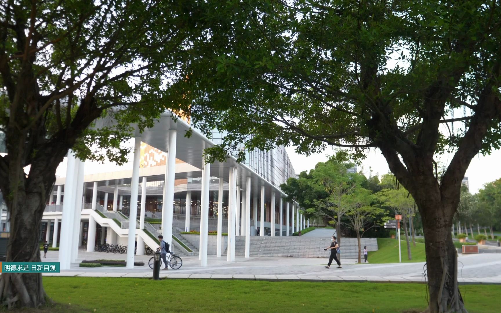 南方科技大学风景