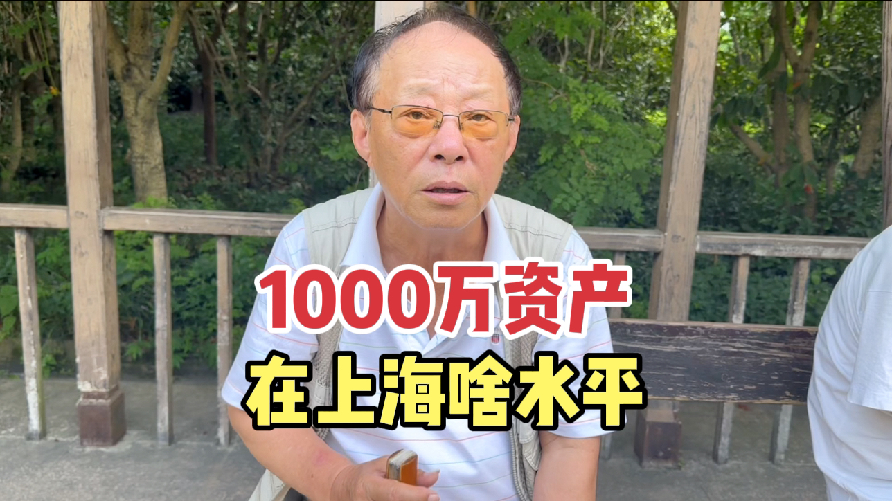 1000万资产在上海什么水平?上海爷叔分析财产构成,很真实哔哩哔哩bilibili