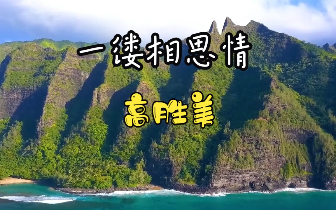一缕相思情 高胜美 mv