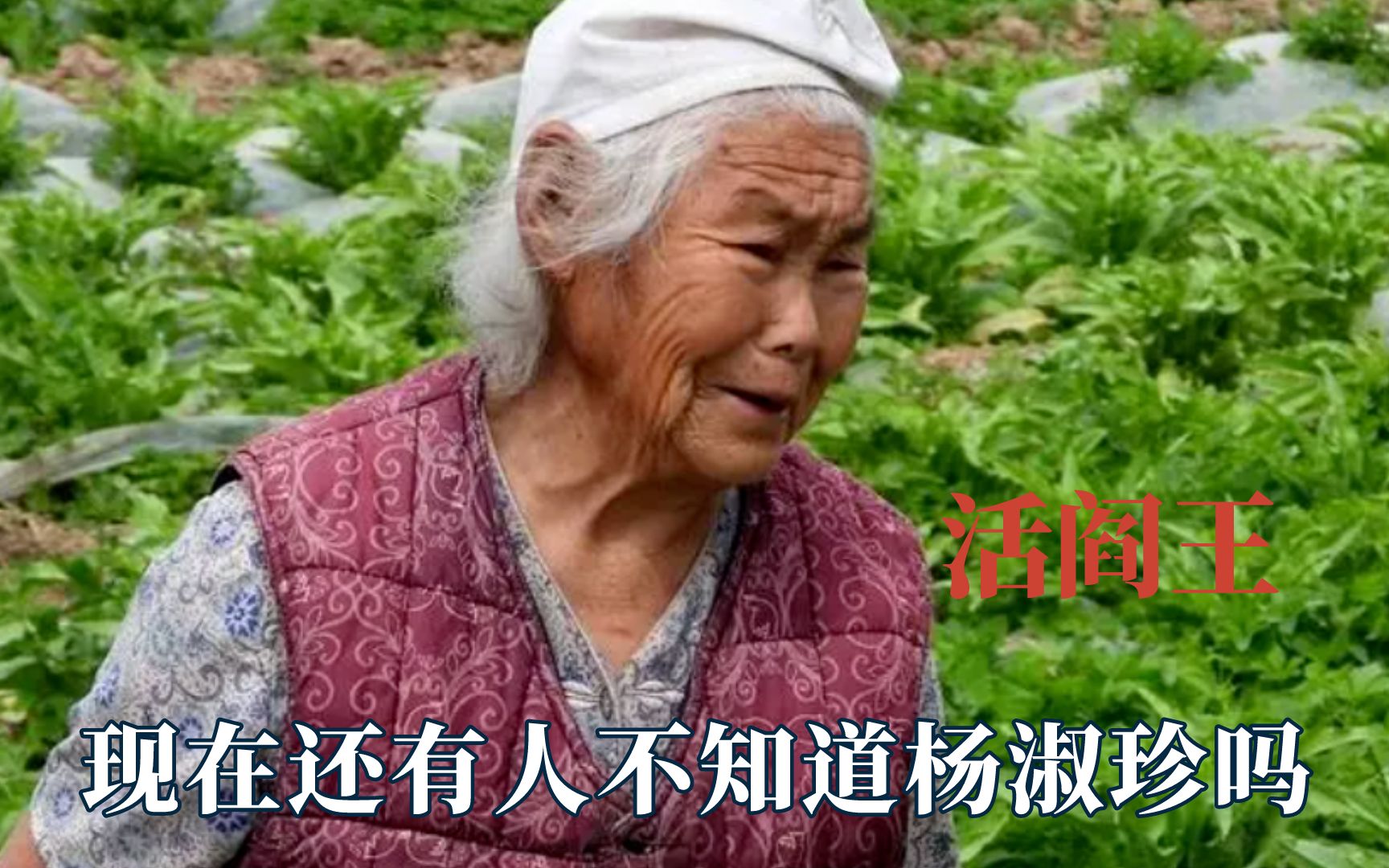 见惯了活菩萨还第一次见活阎王,杨淑珍屠村记