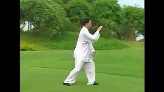 赵幼斌杨式太极拳基本功 哔哩哔哩 Bilibili